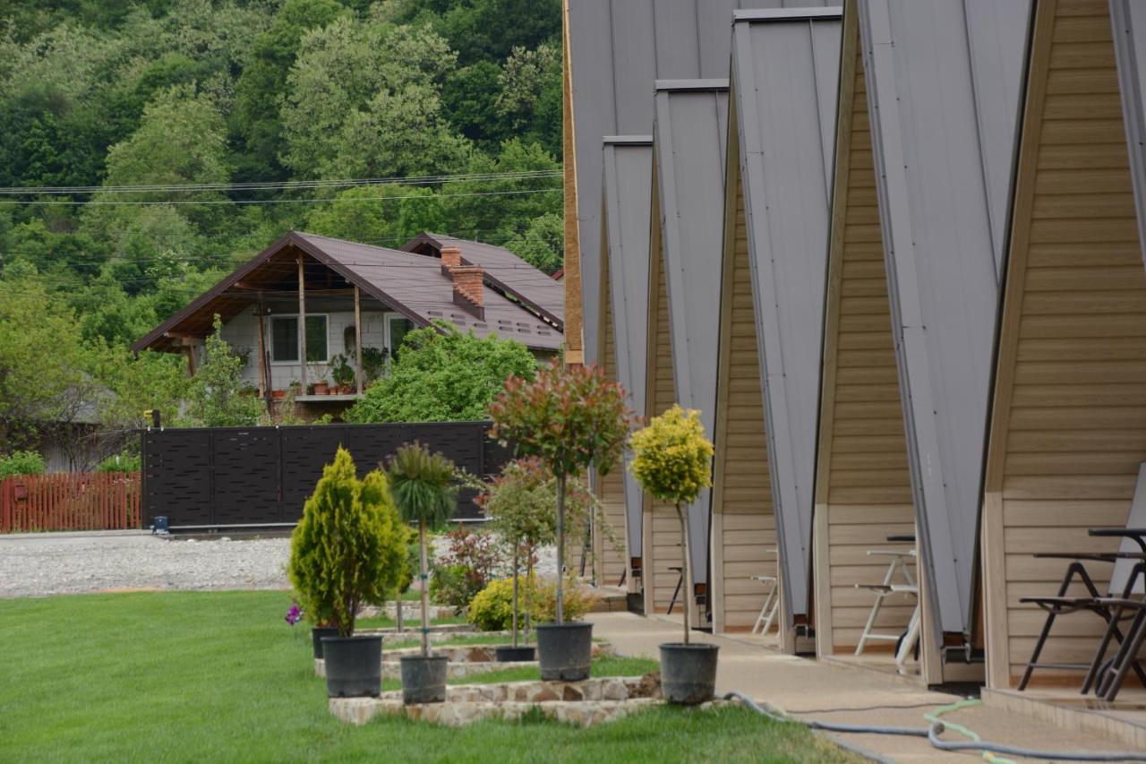 La Casute Hotel Capatineni-Paminteni Bagian luar foto